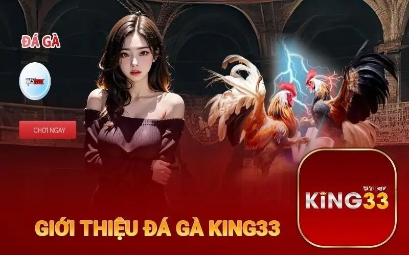 Đá Gà: Môn Thể Thao Mang Đến Đam Mê Và Kịch Tính